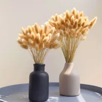 Pampas Grass Denner Raw Color Dried Flower Bunny Tail Natural Plant Floral Rabbit Grass Bouquet Home Decoratie Bunny Staart Gras 1346 V2