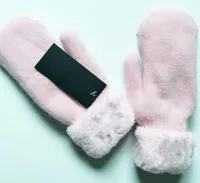 Warm Winter Lederen Handschoenen Plus Wol Touch Screen Rex Konijnenbont Han Versie Fietsen Anti-Cold Sheepskin Mittens