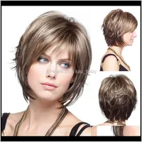Factory Direct Capless Stylish Short Straight Mix Colored Hair Ladys Full Fashion Party Wig Nxjcd Hry6S
