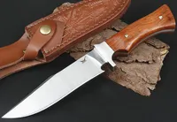 High Quality Outdoor Survival Straight Knife VG10 Drop Point Satin Blade Full Tang Rosewood Handle Fixed Blades Knives With Leather Sheath