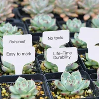 Planters Potten 100 stks Plant Tags T Type Markers Waterdichte Label Nursery Garden Labels voor Pot Groente