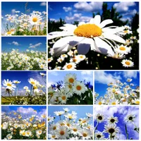 DIY 5D Diamond Painting Daisy Flower Set Embroidery Painting Picture Art Crafts Home Wall Decoration Gifts 15.7X11.8inches