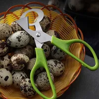 حمامة السمان مقص البيض المقاوم للصدأ الطيور البيض سكين القطاعة المطبخ ربة البيت أدوات مقص اكسسوارات أدوات صغيرة مريحة