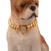 Cuello de PET de 14 mm de acero inoxidable de acero de titanio Cadena de oro Micro incrustado con incrustaciones de zircon con incrustaciones de perros Cadena de perro Cuello de perro Cuello de perro T500631