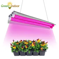 Grow Lights GreensIndoor 100W LED Light Indoor Pełna Spectrum Phito Lampa Dla Roślinów 50 CM Podwójna Tube Strip Sadzonki Kwiat
