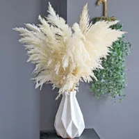 装飾的な花の花輪の自然なパンパス草白い色の本物の乾燥ブーケの結婚式のアレンジメントの装飾クリスマスのホームパーティー