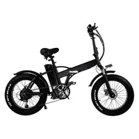 Алюминиевый сплав 750W 48V Electric Sport 7 Speed ​​Snow Mountain Bicycle диск тормозные складные закрепленные 20-дюймовые жирные шины грязь велосипед