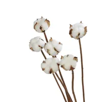 Decorative Flowers & Wreaths 6pcs bunch Natural Dry Flower Cotton Branches Single Ball Dried Head Artificial White
