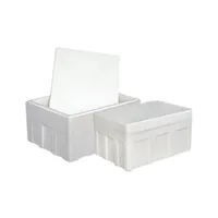 梱包箱の泡箱の表現特別な肥厚3.5.6.7.8.4冷蔵物流包装箱の保存のために絶縁されている