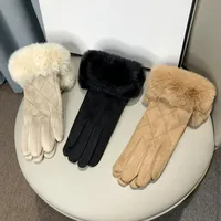 Suede Gloves Autumn and Winter Korean Style Seto Fur Minimalist Design Plaid Solid Color Girl Thickened Touch Screen Gloves Factory Price