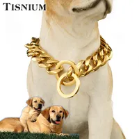 Tisnium 19mm Hund Kragen Pet Kette Choker Gold Farbe Stabile Edelstahl Trainingseil Slide Einstellung Größe Großhandel Ketten