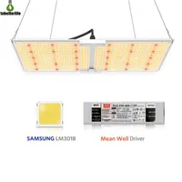 LED wachsen Licht Samsung 1000W 2000W 4000W 6000W Quantum volles Spektrum Phyto -Lampe für Gewächshaus -Wachstumsbeleuchtung