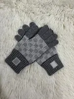 2022黒の灰色のカシミアグローブ女性のデザイナーレディースレタープリント刺繍ミトンの女性ファッション薄手の手袋