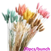 20pcs Cake Decor Natural Dried Flowers White Artificial Colorful Fake Rabbit Tail Grass Bouquet Long Bunches