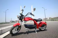 2000W 60V 20AH Big Wheel CityCoco Electric Scooters från NL Lager med EEC/COC Road Legal