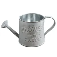 Creative Flower Vase Can Rustic Style Iron Metal Jug Pitcher Tin Bucket Watering Can Shape Draagbare Pot voor Thuis Bruiloft Y0314