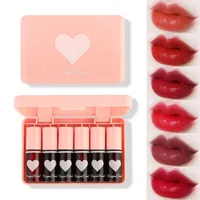 Lip Gloss 6pcs Liquid Lipstick Set langdurige hydraterende make-up Matte Velvet Waterdichte anti-aanbak Cup Cosmetica