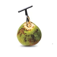 NewCoconut Opener Tool Acciaio inossidabile Acqua di cocco Punch Punch Tap Paglia aperta Hole Taglio Regalo Apri frutta Strumenti EWF7605