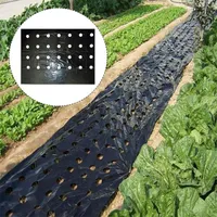 Andere Gartenbedarf 95cm * 100 cm schwarzer PE-Film Gemüsemembran landwirtschaftliche Saatgut Kunststoff perforierte Pflanzen Mulchenmulch