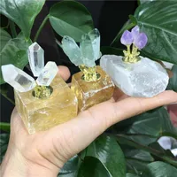 Dekorativa Objekt Figuriner Naturlig Selenit och Gul Calcit Quartz Crystal Cluster Energy Reiki Läkning Heminredning Mineral Prov