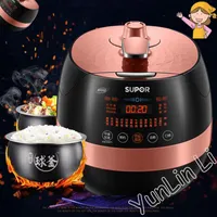 Rice Cookers Electric Pressure Cooker Household Intelligent Pot Microcomputer With 2 ContainerRice