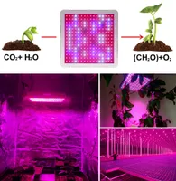 2000W LED Grow Light Full Spectrum For Plants Greenhouse Hydroponics Grow Lamp Indoor Plant Flower Seeding
