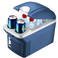 8L Mini Araba Buzdolapları Taşınabilir Soğutucu Isıtıcı Dondurucu Yalıtım Kutusu Çift Kullanım Office Office Açık Seyahat H220510