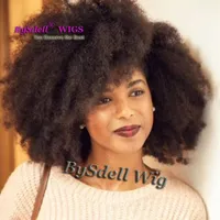 Grade 8A Afro Kinky Curly Full Lace Wigs Lace Front Wigs Baby Hair 100% Brazilian Unprocessed Virgin Human Hair Wig For Black Wome263T