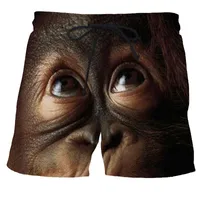 Shorts masculinos S-6xl Animal Graphic Beach for Men 3D Pattern Squirrel Boardshorts Men/Women calças curtas Pet Bottoms Lovely