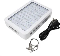 ZOIBKD Supply HX-BP60 LED GROW LICHT 600W voor binnenhydoponische kas planten