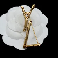 Fashion Designer Broochs For Women Luxury Brooch Gold Jewelry Dress Accessory Womens Bamboo Joint Brooches Breastpin Leency Brosche Box 2022
