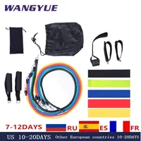17psset Latex Resistance Bands Gym Door Door Anchor Craps Resep Rand Band Kit Yoga Band Fitness Expand