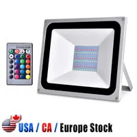 RGB -LED -Flutlichter, 100 -W -Farbwechsel im Freien mit Fernbedienung, IP65 wasserdicht