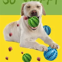 Köpek Oyuncakları Chews Köpek Molars SawTooth Topu Pet Eğlence Sıkıntı Sızdıran Gıda Amazon Spot Toptan