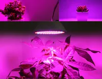 LED GROW LIGHT 6W 15W 20W E27 220V FULL SPECTRUM PHYTO LAMP 60LEDS glödlampa för veg hydroponic inomhusrum växthus odlingsljus