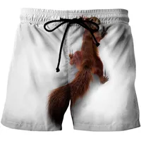 Wuiliy animal gráfico shorts de praia para homens 3d padrão esquilo cadávershorts homens / mulheres calças curtas fofo fundo de estimação adorável 220411
