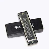 Harmonica SWAN Senior Bruce 10 Hole BLUES with case Brass stainless steel254d