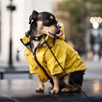 Одежда для любителей собак для маленьких средних собак водонепроницаемые щенки Raincoat Fashion Cool Dog Jacket Pater Wind -Resept Dog