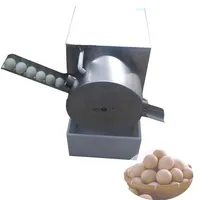 2021 Fábrica Direct acero inoxidable Añada Roda Electric Egg Machine Chicken Patk Goose Aravia de huevo Máquina de lavado de huevo 277 g