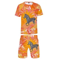 Мужские футболки подходящая одежда 3D Zebra Kids Двухекционные сета повседневные мальчики для девочек футболка для животных Шорты летние мужчины /мальчик прохладный костюм