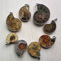 Kolye Kolyeler Toptan 8pcs/Lot Moda Doğal Taş Ammonit Salyangoz Kabuklu DIY Mücevher Aksesuarları Yapımı