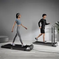 Stock WalkingPad R2 Trepispone Smart Folding Walking Running Home Fitness Trepishmill Machine217O266S