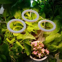 Luces de cultivo anillo anillo de ángel Phytolamp para plantas DC5V USB USB Lámpara completa Lámpara de planta interior Semillas de la flor del hogar suculento