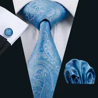 Mens Hankerchief Cufflinks Set Blue Paisely Jacquard Woven Tie Set Business Work Formal Meeting Leisure N-0566239I