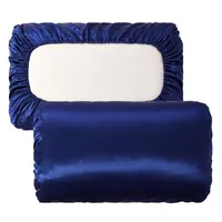 Pillow Case 2pcs/Set Elastic Band 100% Satin Kunstseidenkissenbezug Feste Farbe Schlafkoffer Sommer Cool Coverpillow