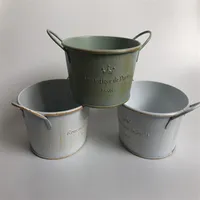 10Pcs lot D12XH6 Vintage Nostalgia Tin Planter Galvanized Buckets Wedding Succulents Pot Romancique de Paris Since 1898 T2005292739
