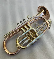 Yüksek kaliteli altın bb kornet trompet pirinç kasa ve ağızlık müzik aletleri#17