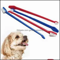 犬グルーミング歯科歯ブラシペット子犬猫用品カラーランダム納入ドロップデリバリー2021ホームガーデンザキクサ
