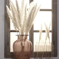 15 stücke Natürliche getrocknete Kleine Pampas Gras Phragmiten Künstliche Pflanzen Hochzeit Blume Bündel für Wohnkultur Fake Flo Lb
