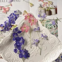 装飾的な花の花輪飛行樹脂consolida ajacis dry diy art craft canlde soapスクラップブック12pcのための自然なプレス花